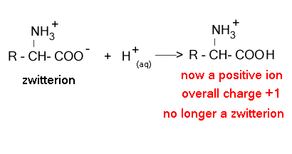 zwitterion acid bases fort hood base